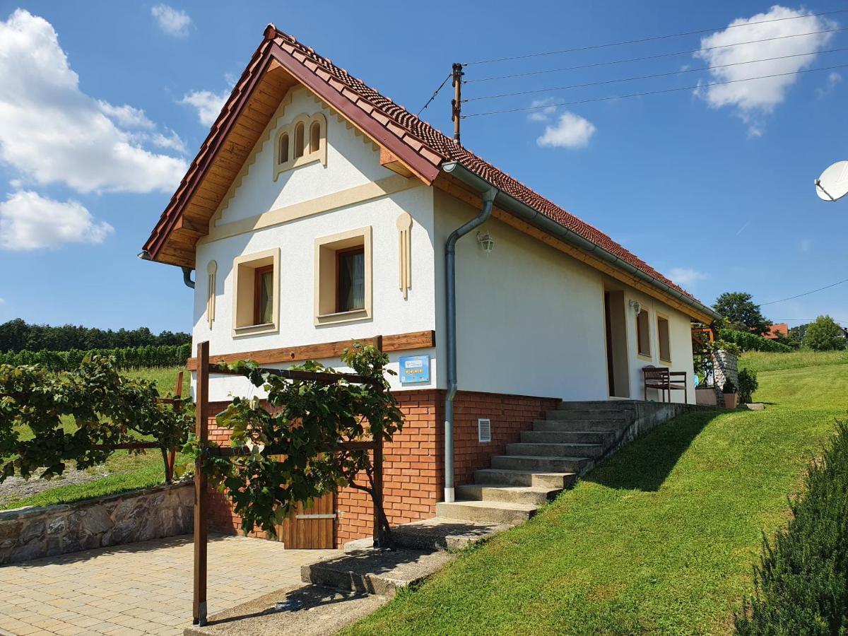 Kellerstoeckl Weinberg Vila Eisenberg an der Pinka Exterior foto
